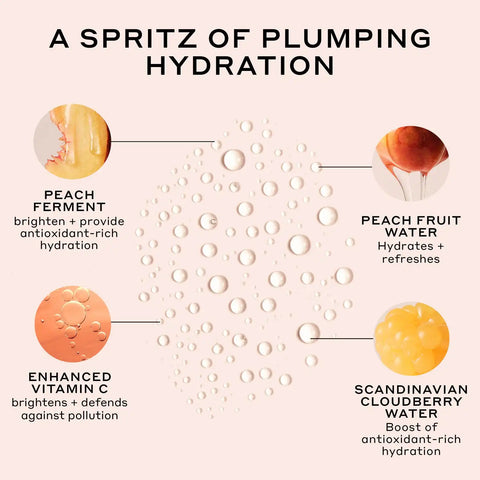 Big + Plump Peach Collection Bundle